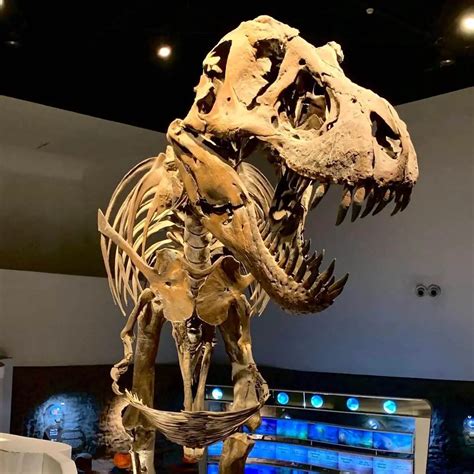 The Mind Museum Guide: Tickets, Attractions & Tips.